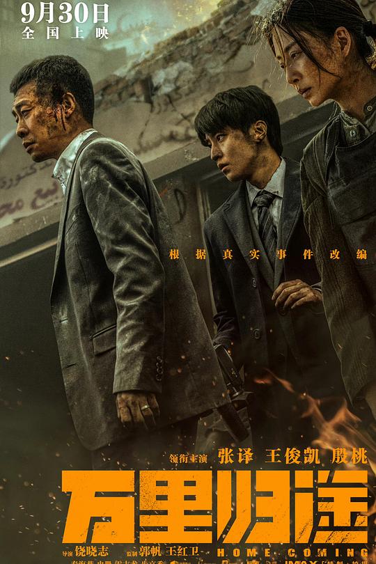 万里归途 海报